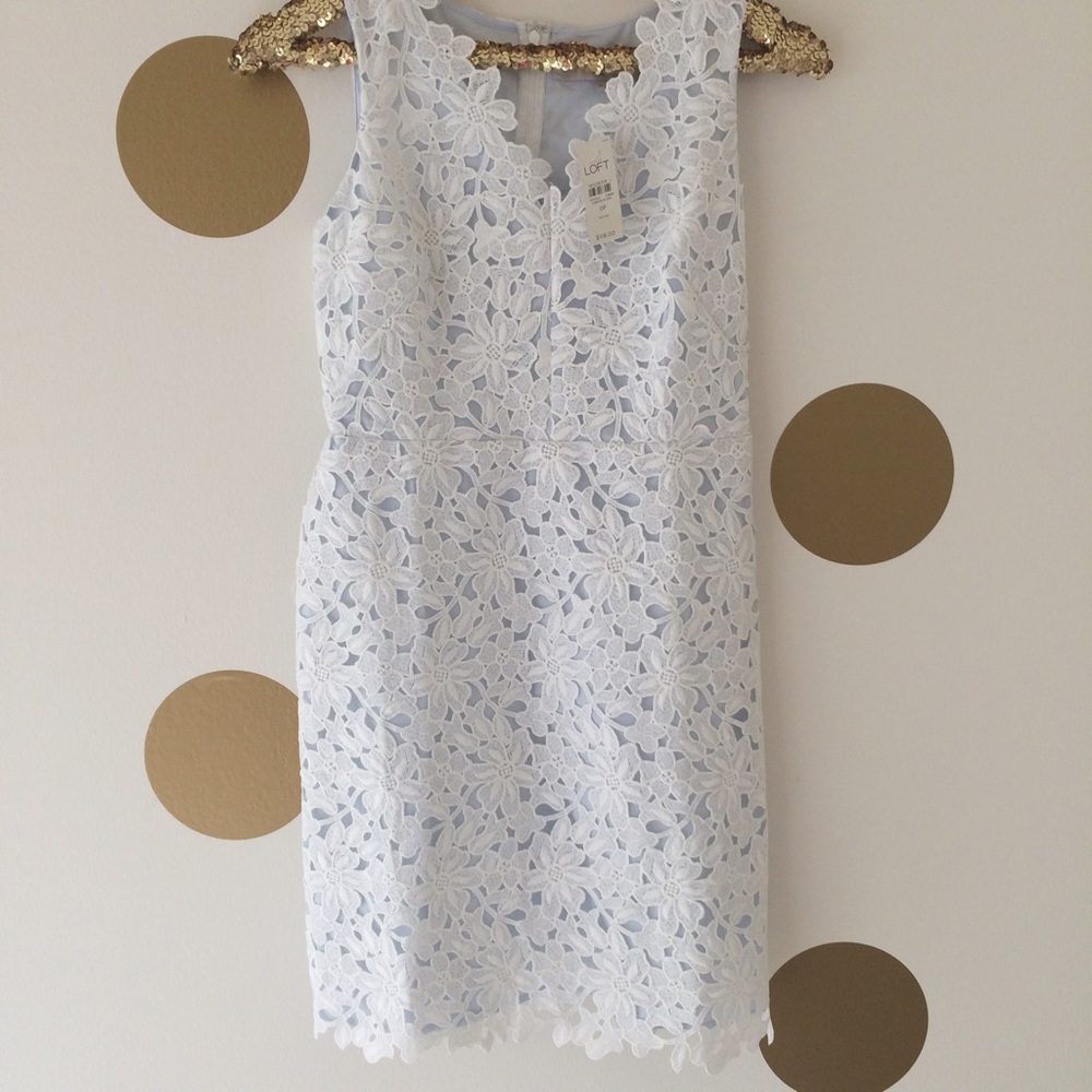 LOFT 0 Petite Floral Lace Dress
